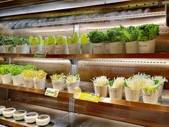 自助取餐区-串一火锅(赛格国际购物中心店)