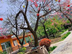 门面-西安秦岭野生动物园