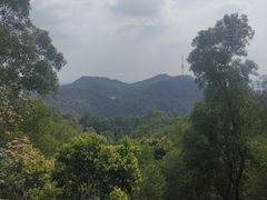 -大雁山风景区