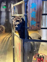 -酷嗒动物文化乐园(cutezoo西溪乐天城店)