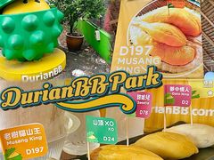-榴莲BB 四季果园