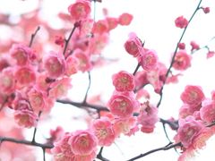 -蜀冈西峰生态公园