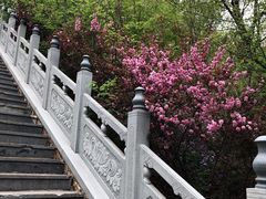 -爱新觉罗皇家博物院