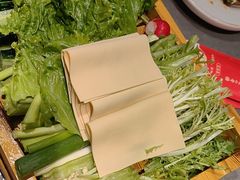 -金手勺东北菜馆(大屯北路店)