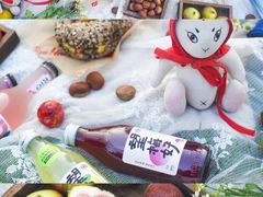 -顾村公园