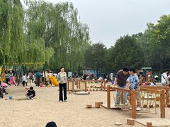 -大兴滨河森林公园