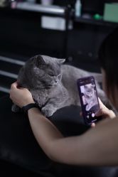 -飛凡TATTOO纹身•原创