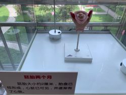 -重庆市妇幼保健院(冉家坝院区)