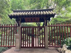 景点-静安公园(静安寺街道)