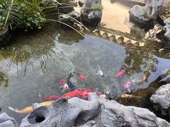 -道南書院·私房菜·早午茶·茶馆