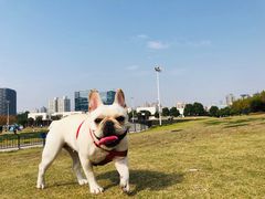 -栖露营camping·天幕烧烤·团建拓展·采摘营地