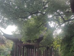 -钱王祠