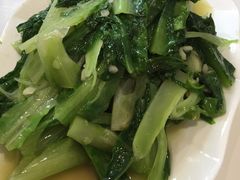 油麦菜-蓉城小厨·四川味道(浙港国际店)