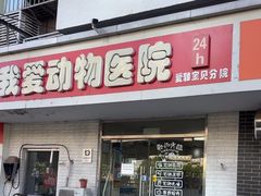 -中农大我爱我爱24h动物医院·中医针灸·猫专科·骨科医疗中心(双井店)