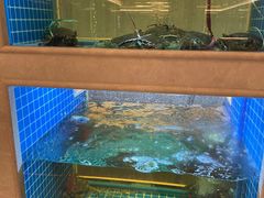 -皇朝尊会(龙之梦大酒店)