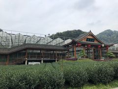 -天地生态农庄