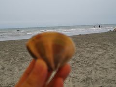 -江山半岛白浪滩景区