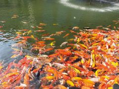 -番禺宾馆丽苑厅