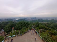 -大金鹰园