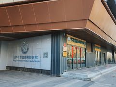 -中农国际动物医院24小时·猫科·骨科·急重症中心
