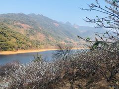 -广州市流溪河国家森林公园