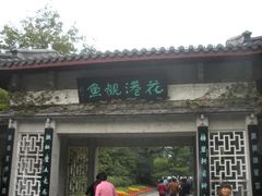 -西湖外事游船(花港观鱼码头)