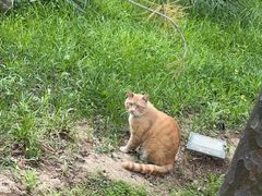 -长辛店二七公园