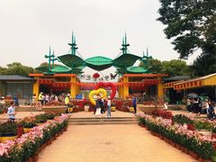 -松山湖梦幻百花洲