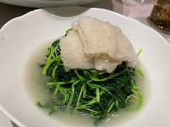 -皇朝会.经典传统粤菜(外滩店)