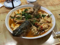 红烧狗鱼-煲来饱去冷水鱼