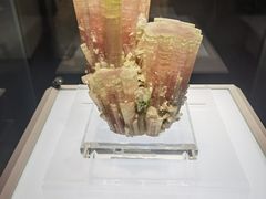 -安徽省地质博物馆