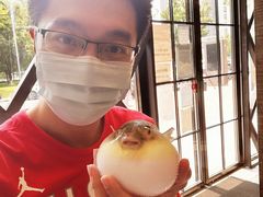 -肆月河豚·新淮扬(金融街店)