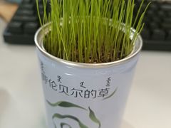 -很久以前羊肉串(中山公园店)