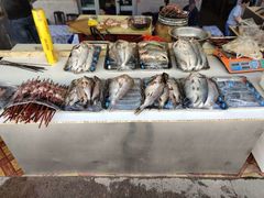 -新疆风味冷水鱼庄(友谊峰路店)