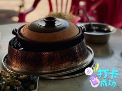 -霞姐屯昌枫木香草鸭店(海螺店)