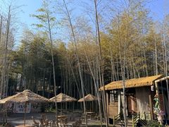 -大唐贡茶院
