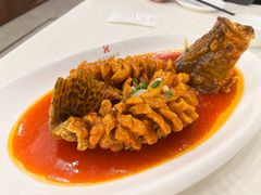 松鼠桂鱼-怡园饭店-餐厅(四望亭店)