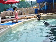 -新加坡水上探险乐园