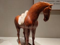 -深圳博物馆(古代艺术馆)