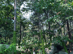 -沂蒙山旅游区云蒙景区(蒙山国家森林公园)
