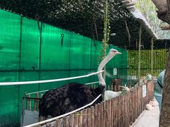 -史努比缤纷世界