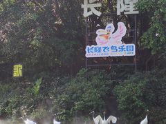 -广州长隆飞鸟乐园