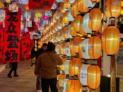 -国色天乡三期陆地乐园