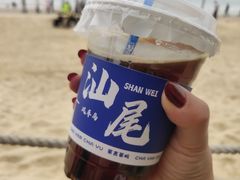 -汕尾风车岛