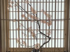 -汤森悠生活文化汤(江宁万达店)