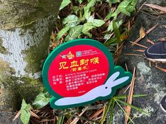 -呀诺达热带雨林