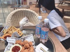 炸薯条-瞄一喵猫咖(格力海岸店)