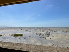 -北海金海湾红树林生态旅游区