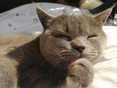 -酷狗靓猫宠物·洗护·美容·寄养(航北路店)