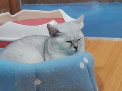 -龟与熊猫宠物公园(南坪店)